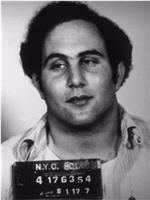 David Berkowitz