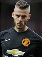 大卫·德赫亚 David de Gea