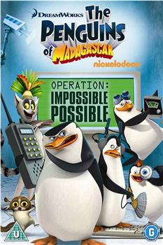 马达加斯加企鹅：行动在线观看和下载
