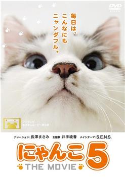 猫咪物语5在线观看和下载