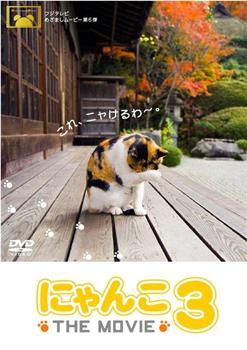 猫咪物语3在线观看和下载