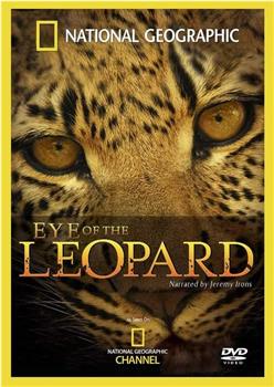 国家地理：豹的眼睛在线观看和下载