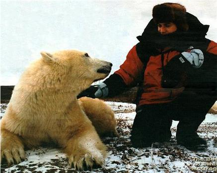 伊万·麦格雷戈探访野生北极熊在线观看和下载