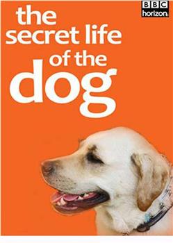 地平线系列：狗狗秘闻在线观看和下载