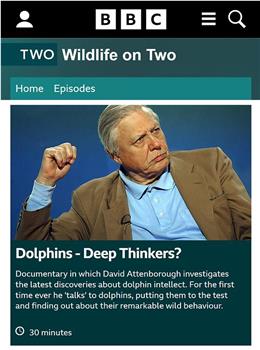BBC海豚智力之谜在线观看和下载