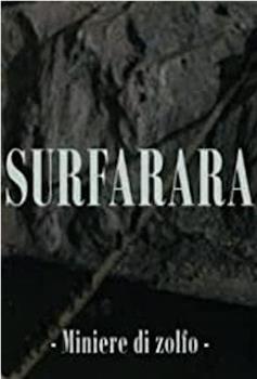 Surfarara在线观看和下载