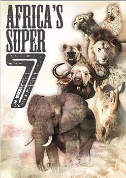 探索频道： 非洲超级七兽在线观看和下载