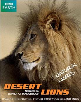自然世界：沙漠狮在线观看和下载