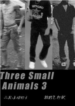 三只小动物3 肉的飞行状在线观看和下载