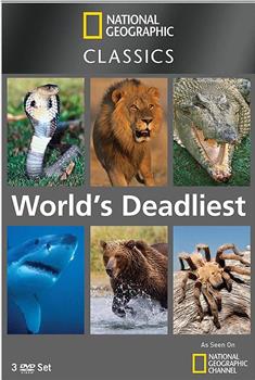 世界致命动物系列：非洲篇在线观看和下载
