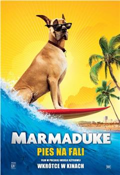 大丹麦狗马默杜克在线观看和下载