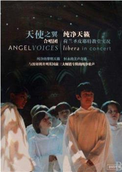 天使之声：自由童声合唱团在线观看和下载