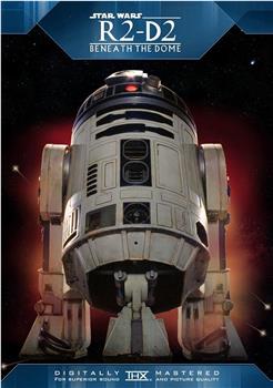 R2-D2：穹盖之下在线观看和下载