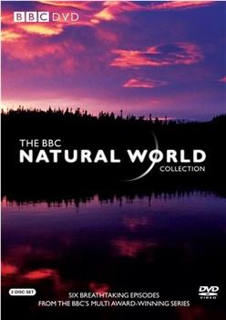 BBC - 大自然在线观看和下载