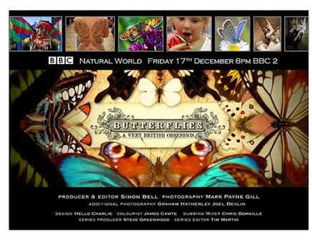 翩翩蝴蝶—英国式迷恋在线观看和下载