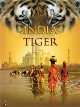 印度：老虎王国在线观看和下载