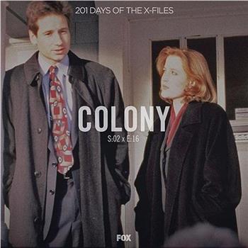 "The X Files"  Season 2, Episode 16: Colony在线观看和下载