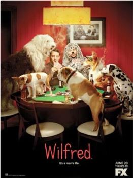犬友笑传 第三季在线观看和下载