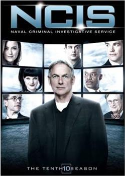 海军罪案调查处 第十季在线观看和下载