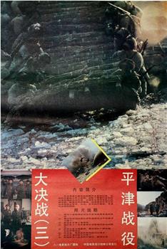 大决战之平津战役在线观看和下载
