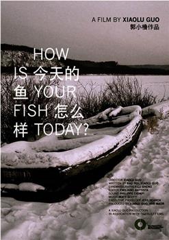 今天的鱼怎么样？在线观看和下载