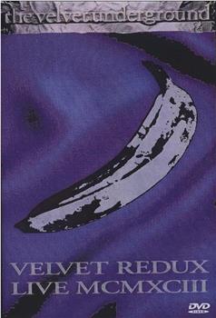 Velvet Underground: Velvet Redux Live MCMXCIII在线观看和下载