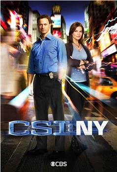犯罪现场调查：纽约 第八季在线观看和下载
