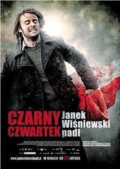 czarny czwartek(2011)别名:black thursday豆瓣评分:7.