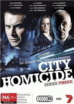 城市凶杀组  第三季在线观看和下载