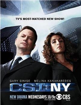 犯罪现场调查：纽约 第五季在线观看和下载