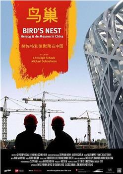 鸟巢：赫尔佐格和德梅隆在中国在线观看和下载