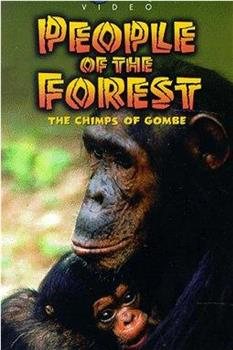 People of the Forest: The Chimps of Gombe在线观看和下载