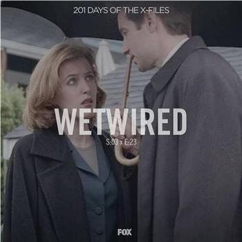The X Files - Season 3, Episode 23: Wetwired在线观看和下载