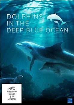 深蓝色海洋里的海豚在线观看和下载