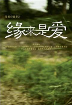 缘来是爱在线观看和下载