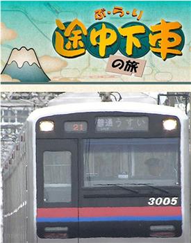 日本电车之旅在线观看和下载