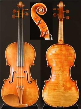 斯特拉迪瓦里小提琴的故事在线观看和下载