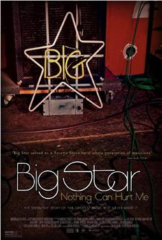 Big Star: Nothing Can Hurt Me在线观看和下载