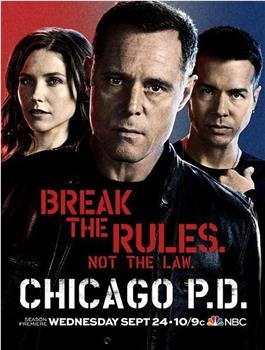 芝加哥警署 第二季在线观看和下载