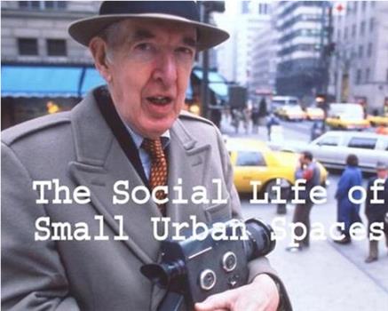 小型公共空间的社会生活在线观看和下载