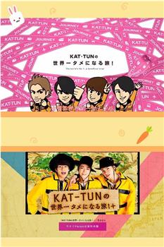 KAT－TUN的世界第一助人之旅在线观看和下载