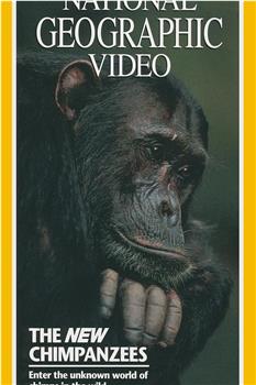 [国家地理杂志，顶级野生动物电影集05] 黑猩猩在线观看和下载