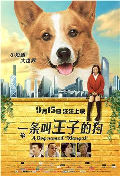 一条叫王子的狗在线观看和下载