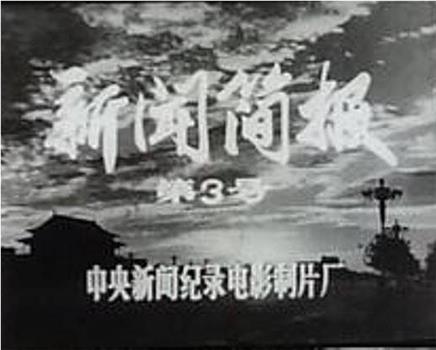 新闻简报1974年第3号在线观看和下载