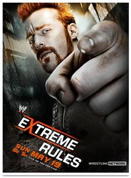 WWE:极限规则 2013在线观看和下载