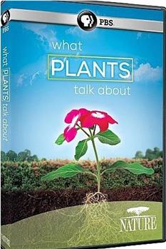 自然：植物间的对话在线观看和下载