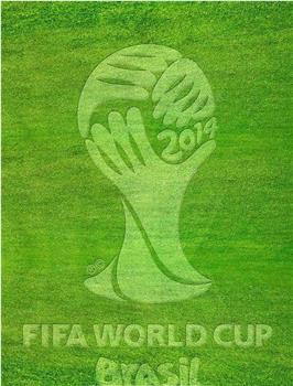 豪门盛宴——2014巴西世界杯特别节目在线观看和下载