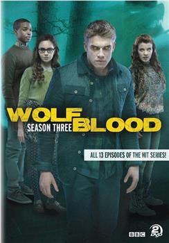 狼血少年 第三季在线观看和下载