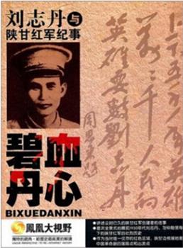 碧血丹心-刘志丹与陕甘红军纪事在线观看和下载