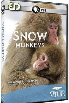 PBS自然：雪猴在线观看和下载